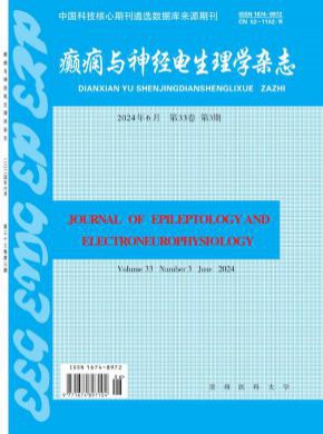 癫痫与神经电生理学期刊